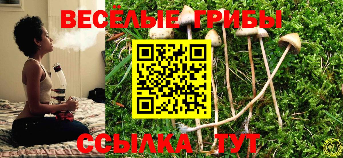 Галлюциногенные грибы мицелий Выборг