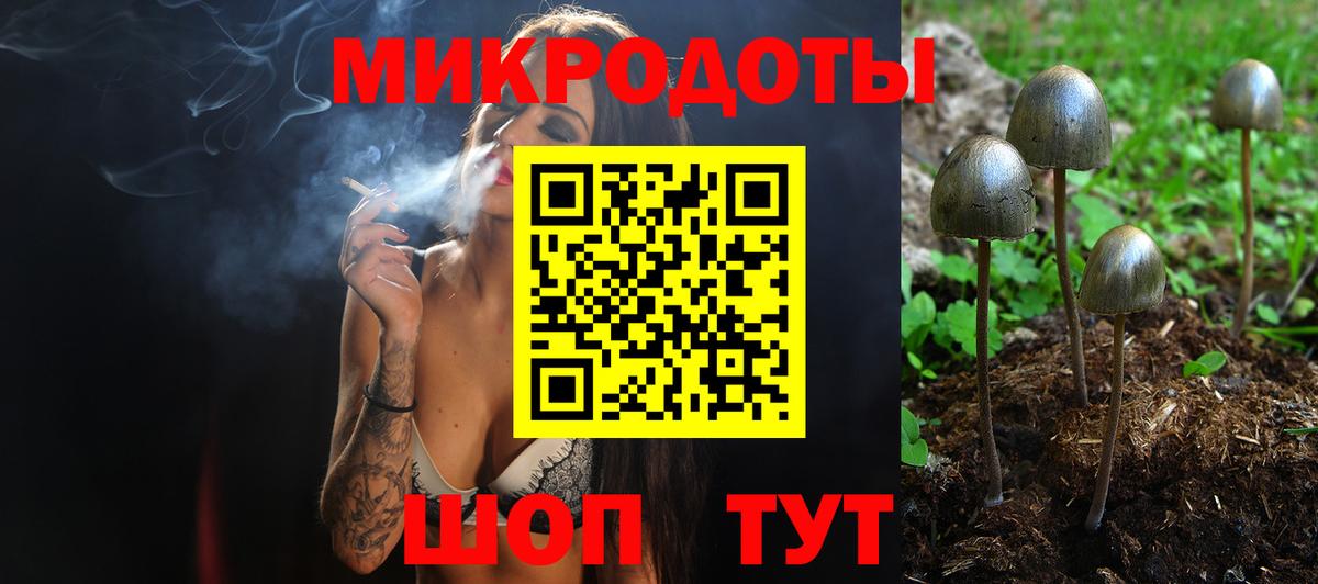 Псилоцибиновые грибы ЛСД  Псилоцибиновые грибы мицелий  Выборг  Вход с VPN 